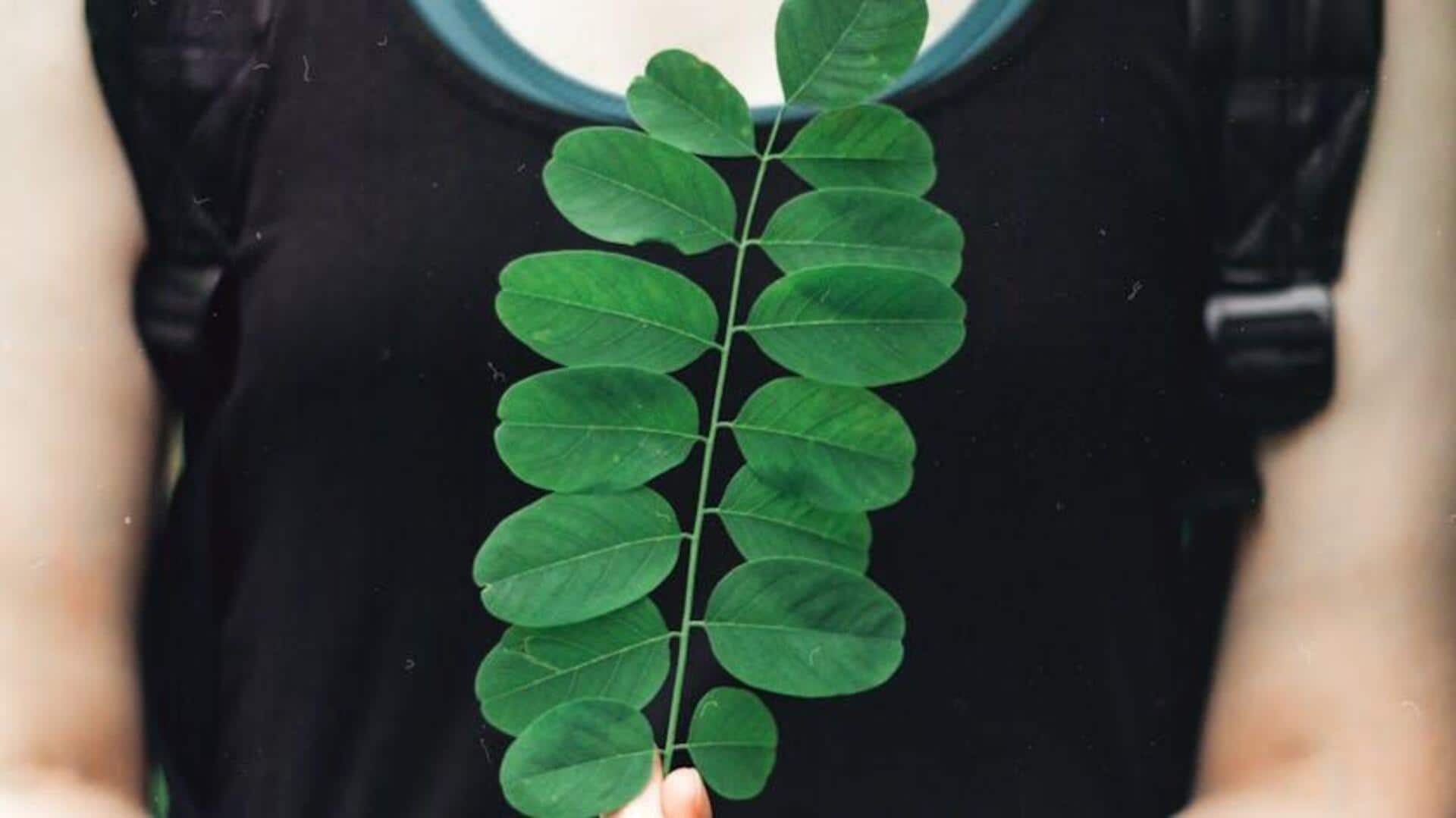 Why you must add moringa to your daily diet Why you must add moringa to your daily diet