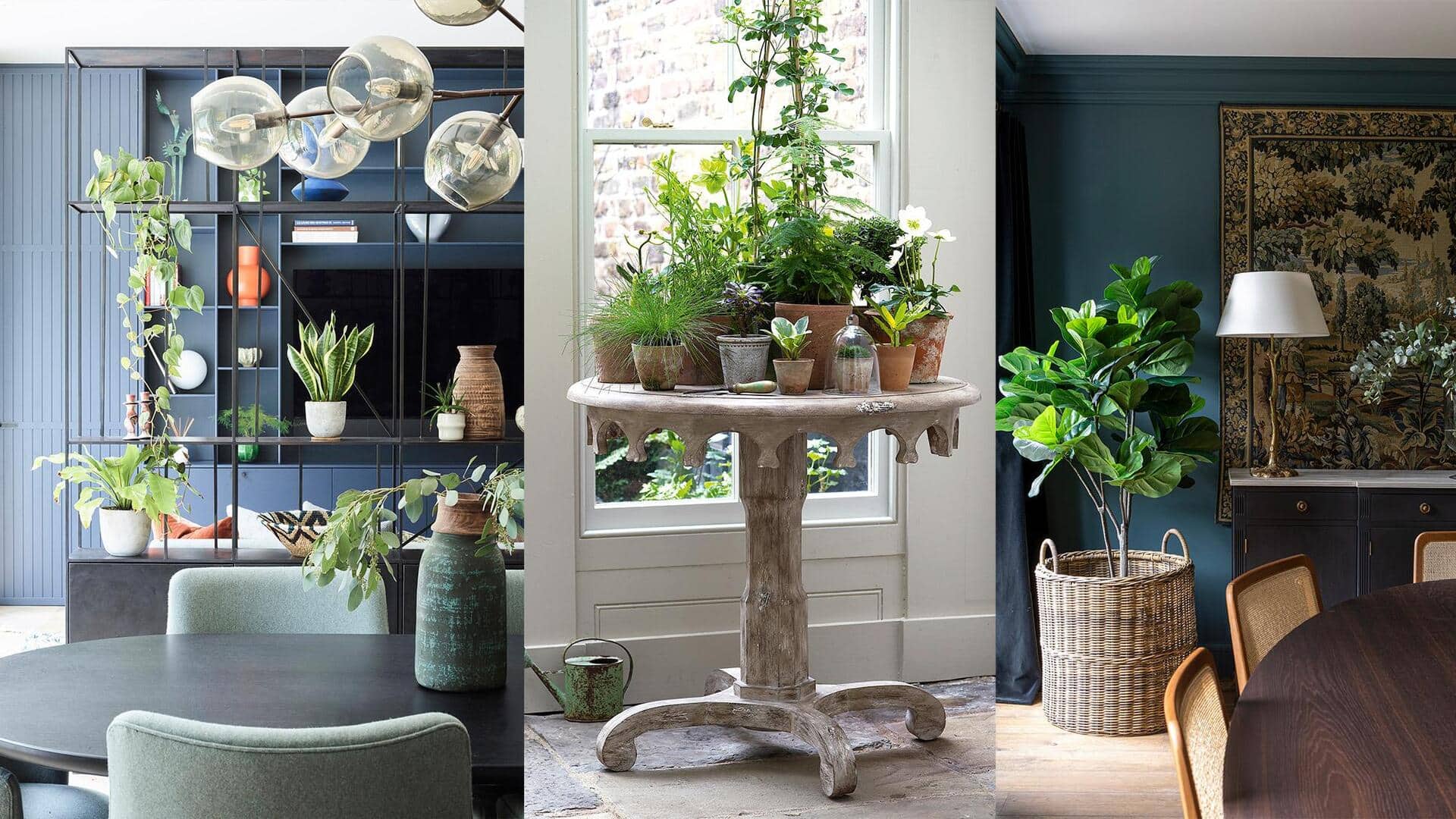 5 creative ways to display plants at home
