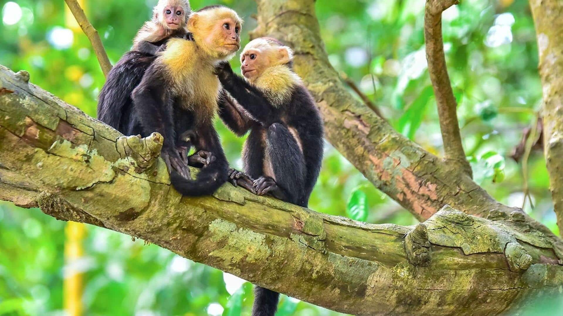 Visiting Central America? Skip these destinations