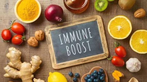 What everyone gets wrong about immune system 