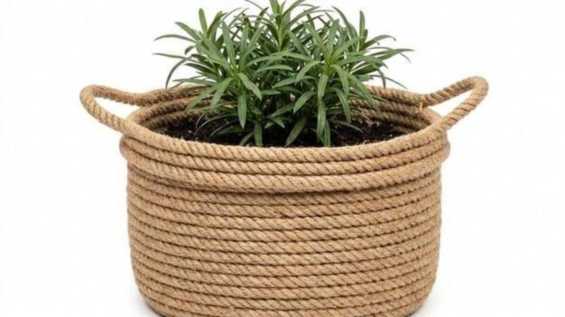 DIY: How to make reed basket planters 