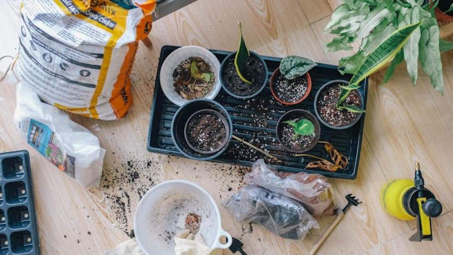 This interesting activity makes weekends with family more fun