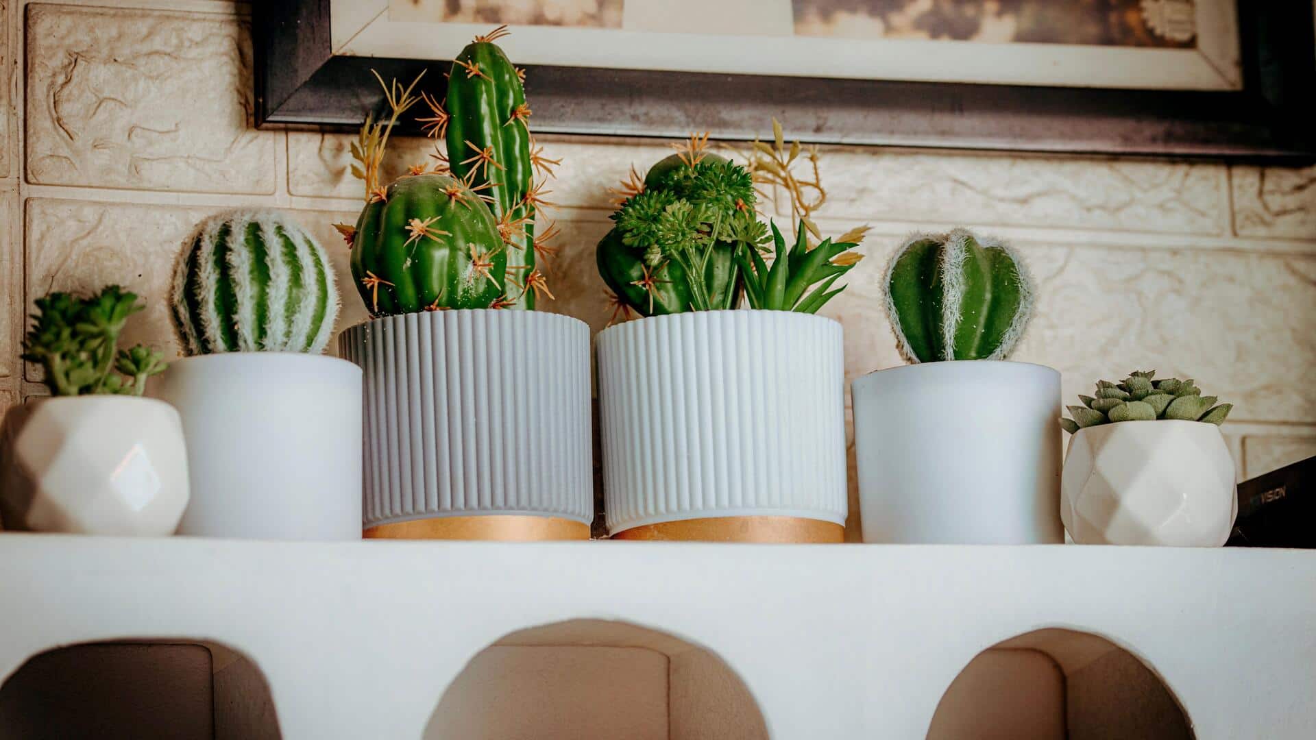 5 tricks to display indoor plants beautifully