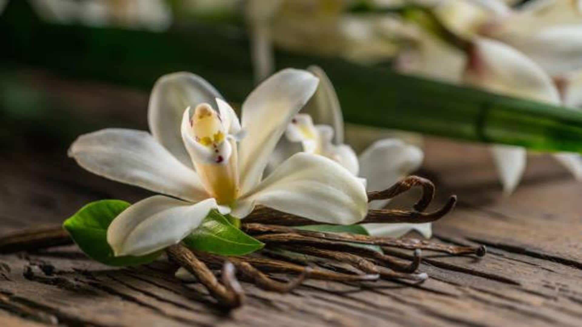 Surprising health benefits of vanilla Surprising health benefits of vanilla