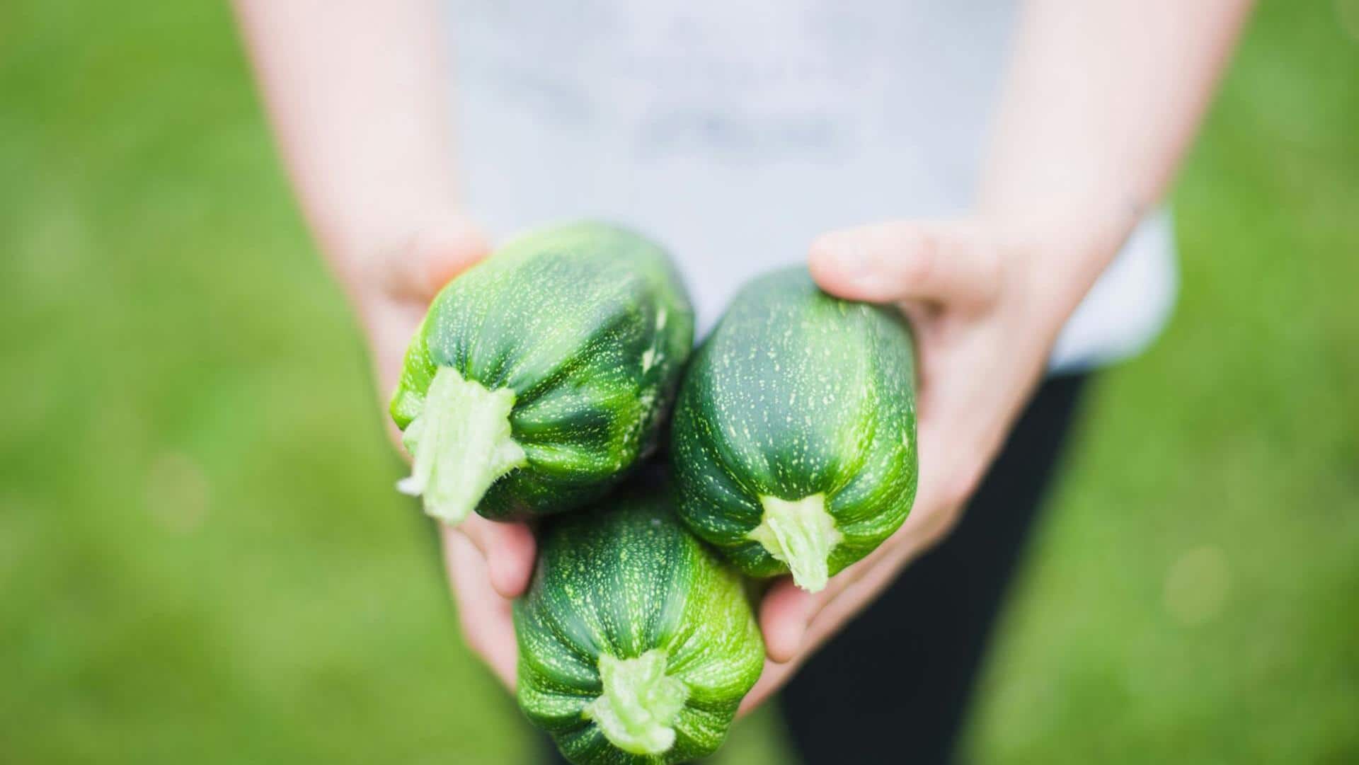 5 delicious ways to make the most of zucchini 5 delicious ways to make the most of zucchini