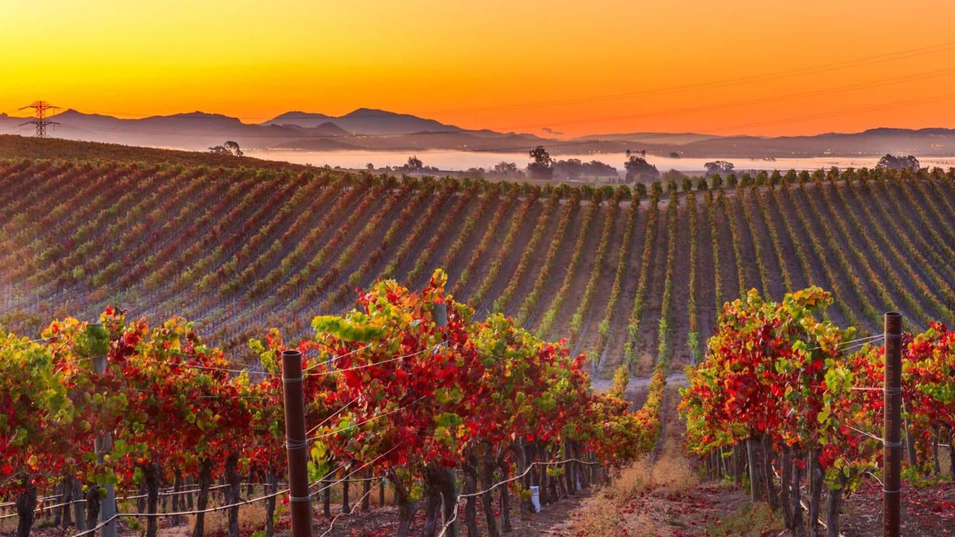 Napa Valley, California: Vintage railroads and stunning views