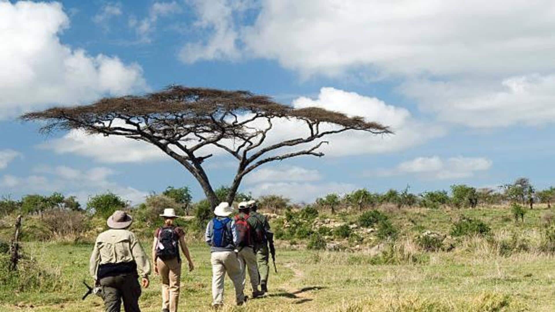 Wildlife lovers, experience this unique walking safari 