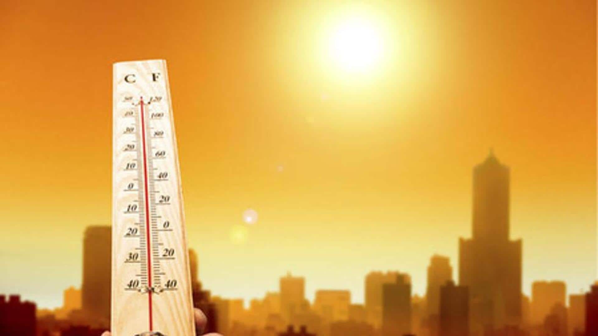 2023 was hottest year ever: What factors led to this?