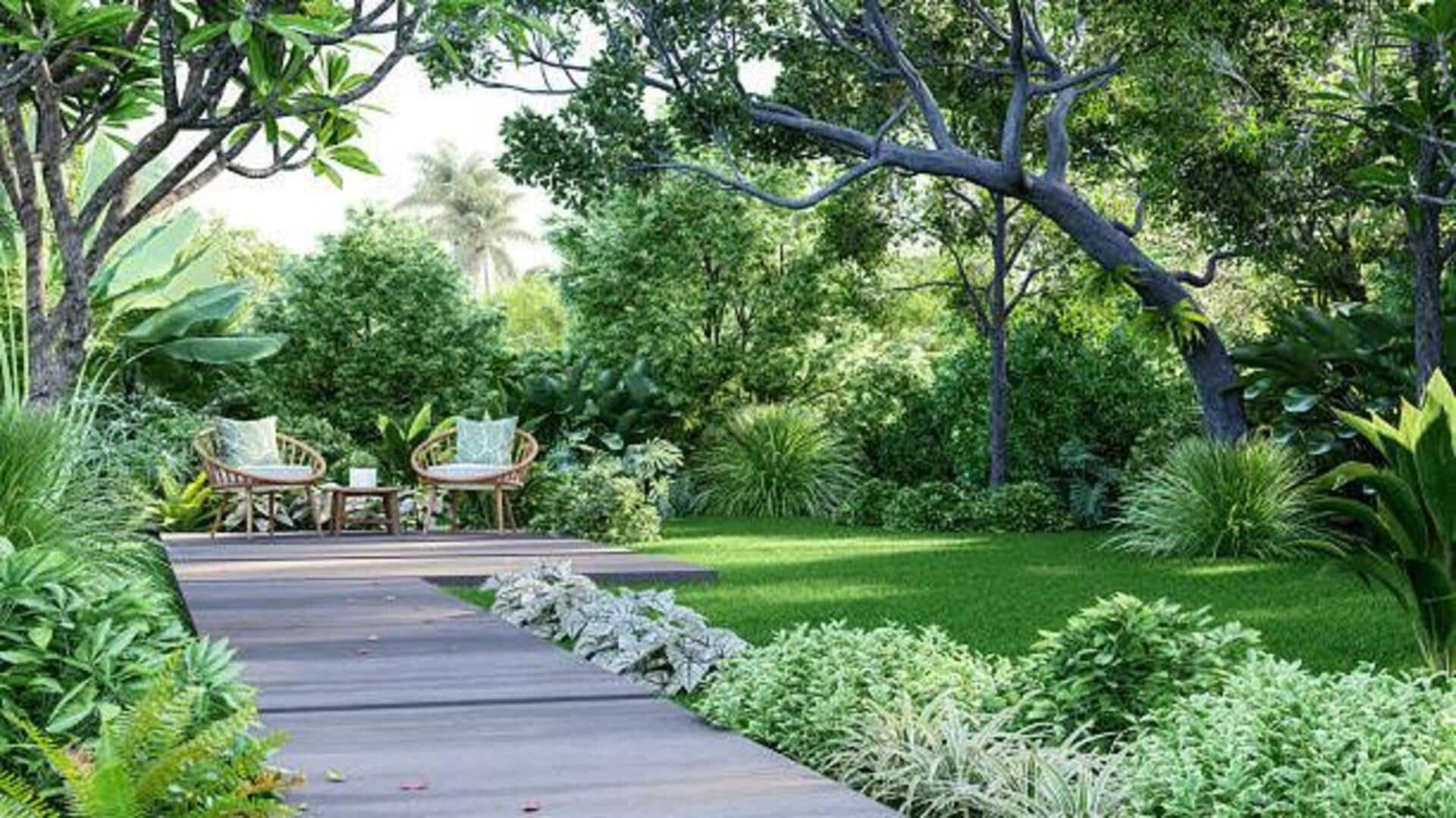 How to create a nature-inspired walking space at home