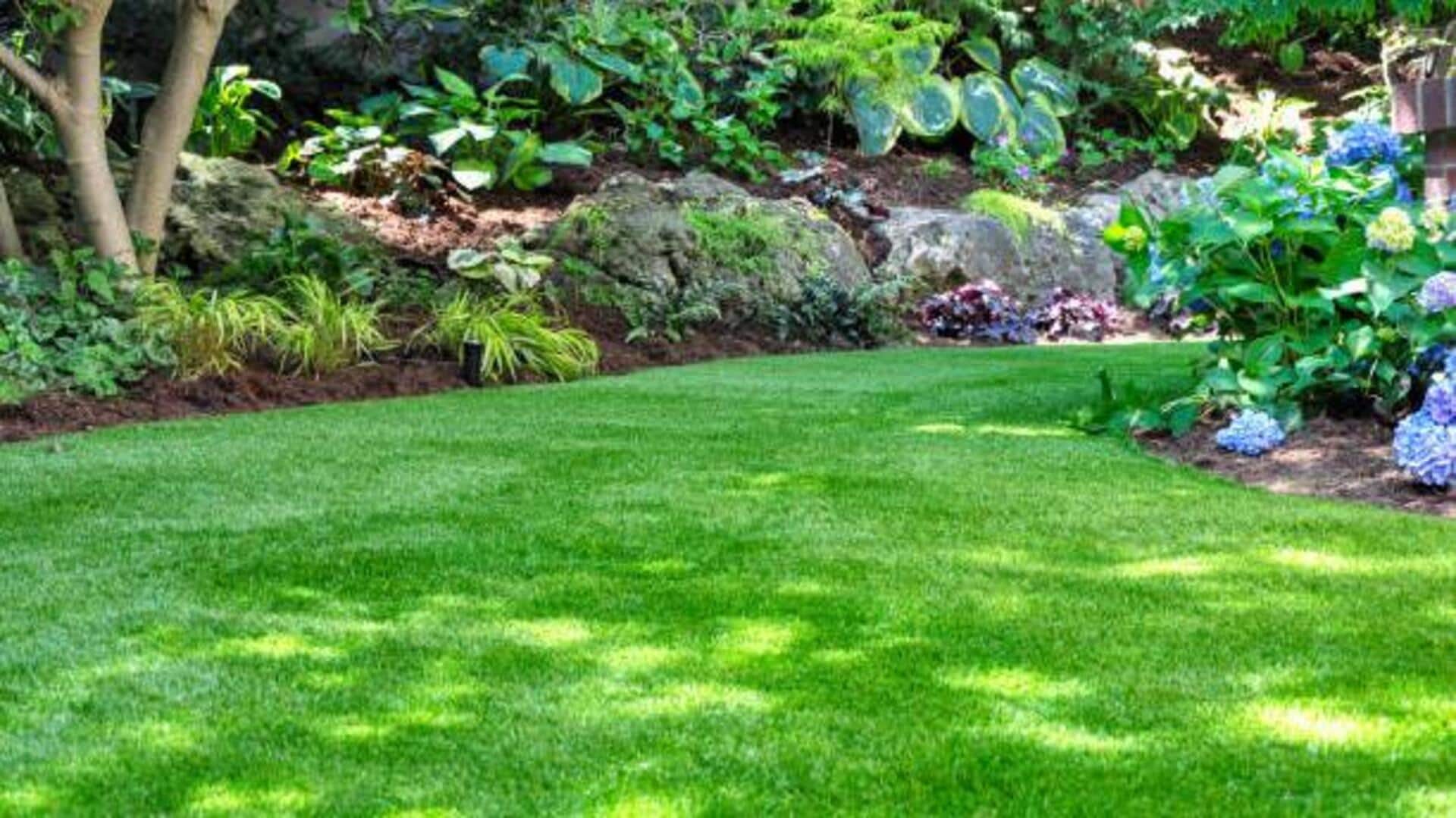 How to create a stunning garden without overspending How to create a stunning garden without overspending