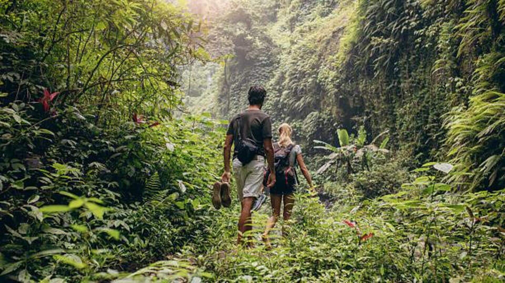 Jungle trekking 101: A must-try adventure