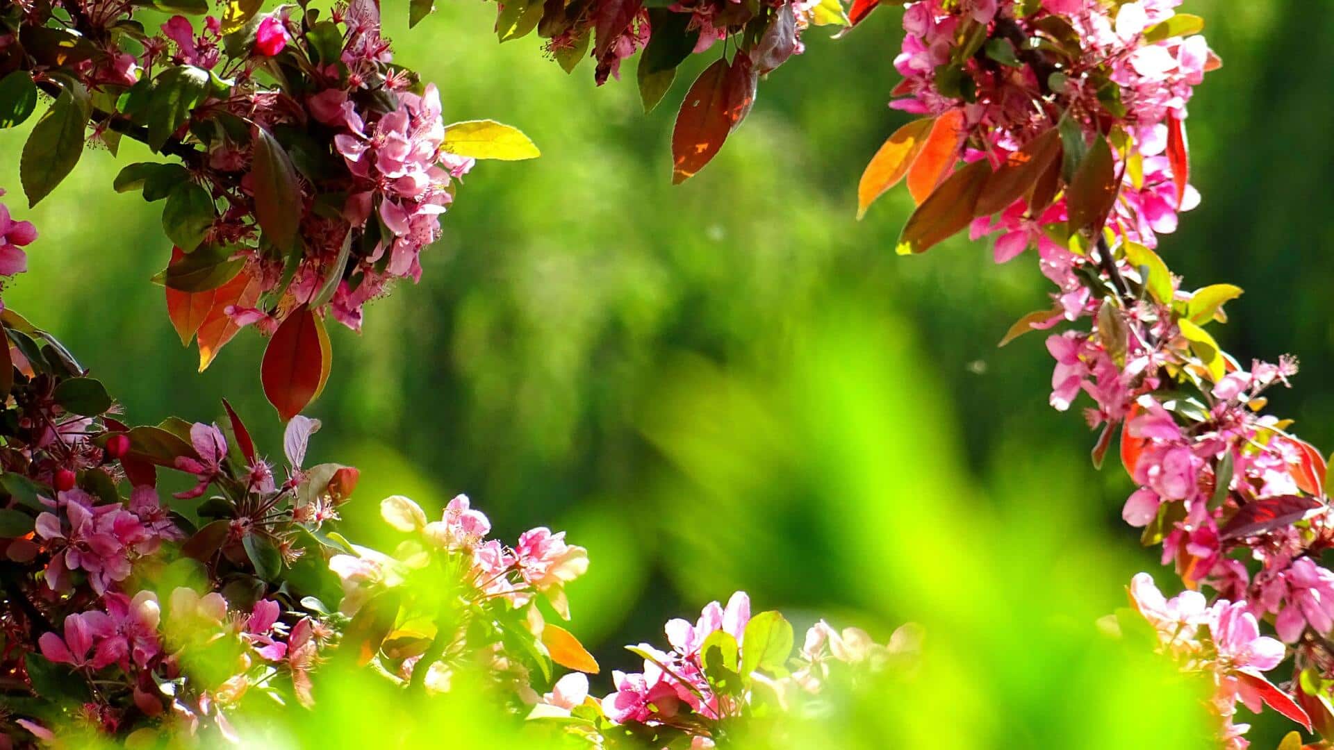 5 budget-friendly tips to start your own organic garden