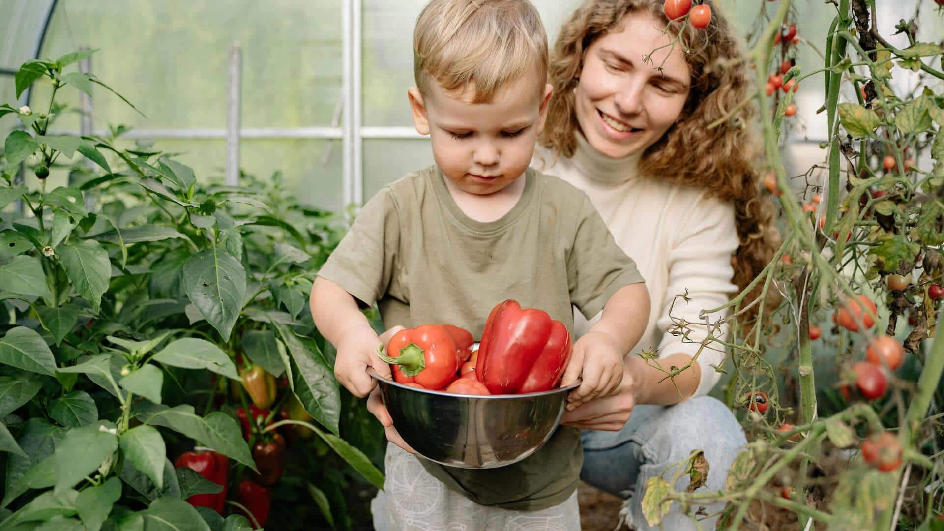 Easy tips to grow your own veggies at home