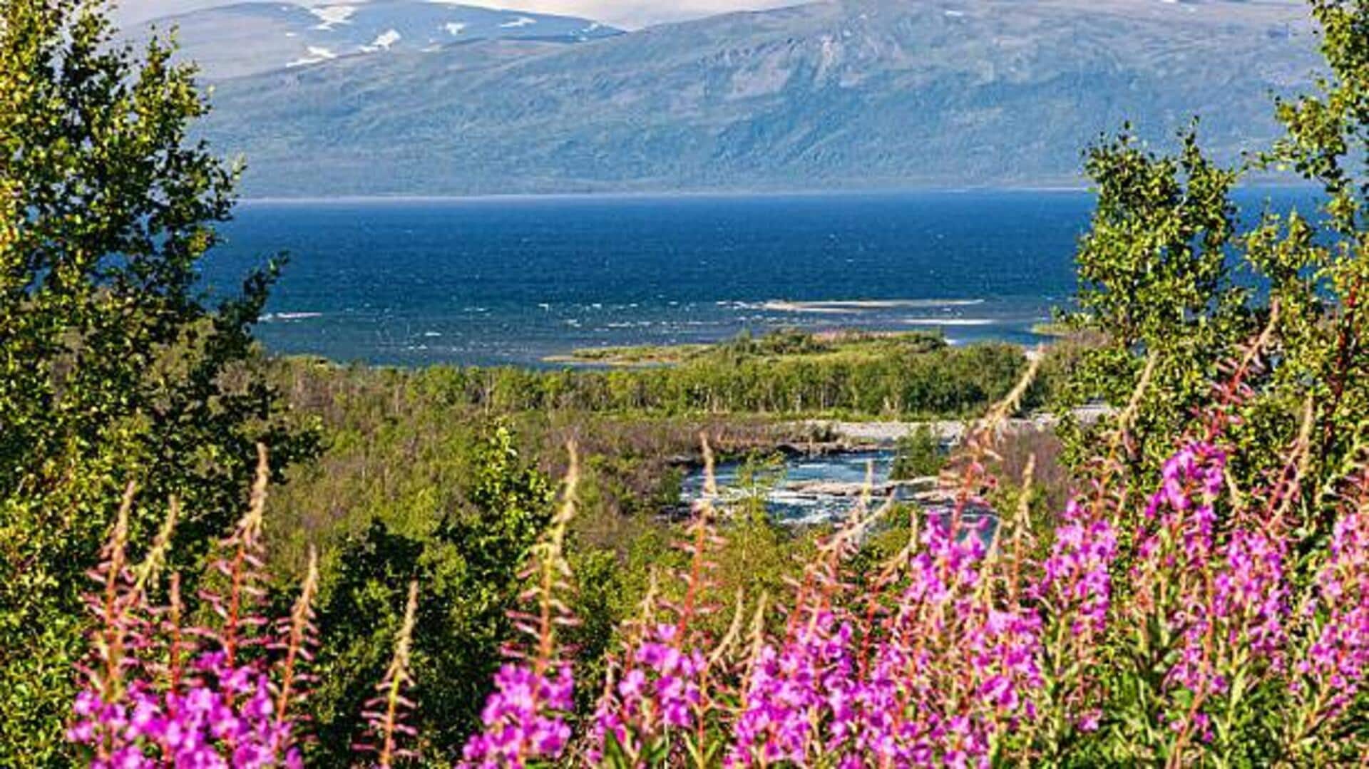 Top national parks in Sweden: A list Top national parks in Sweden: A list