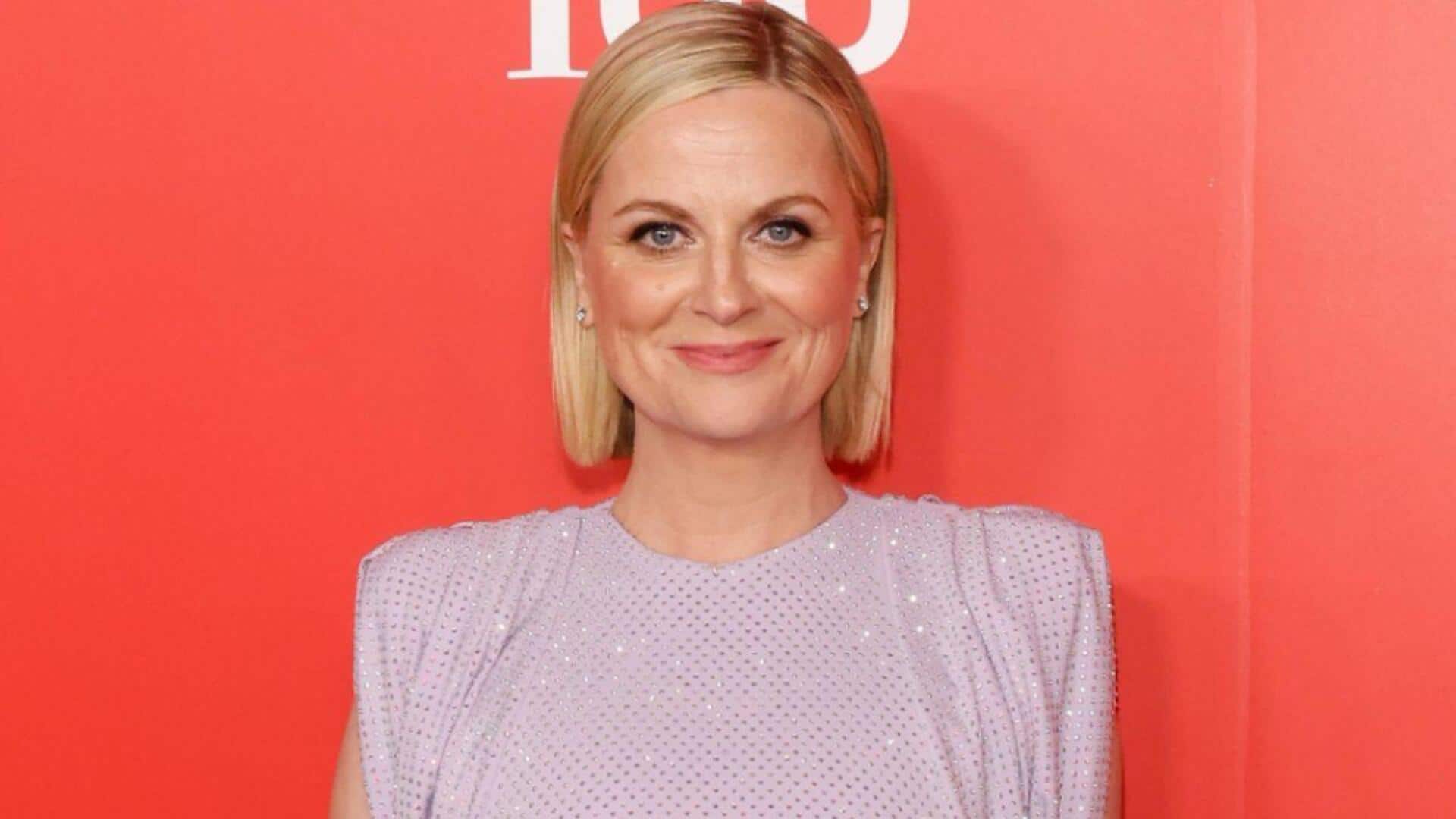 What makes Amy Poehler a true American icon What makes Amy Poehler a true American icon