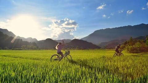 Cycle through the beautiful Loire Valley in France 