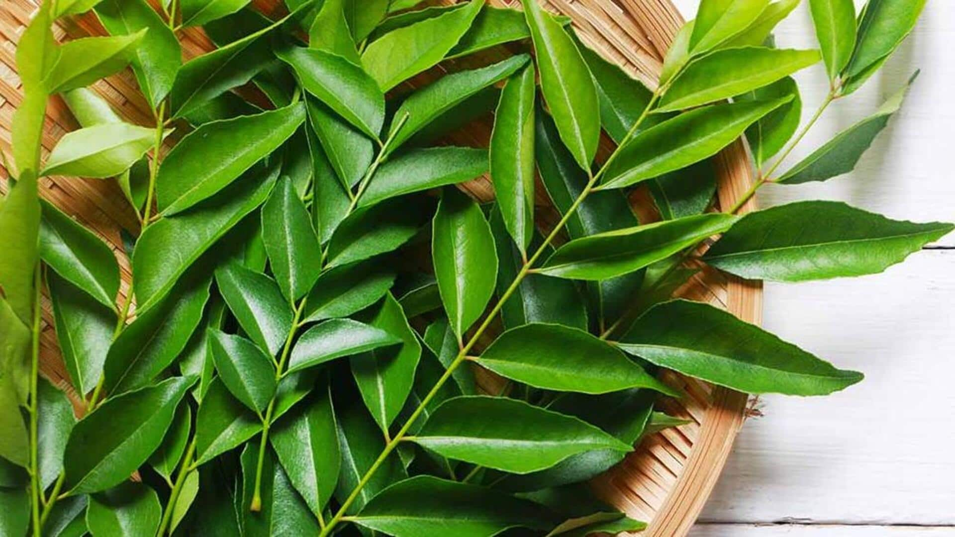 Uncovering curry leaves' hair growth secrets