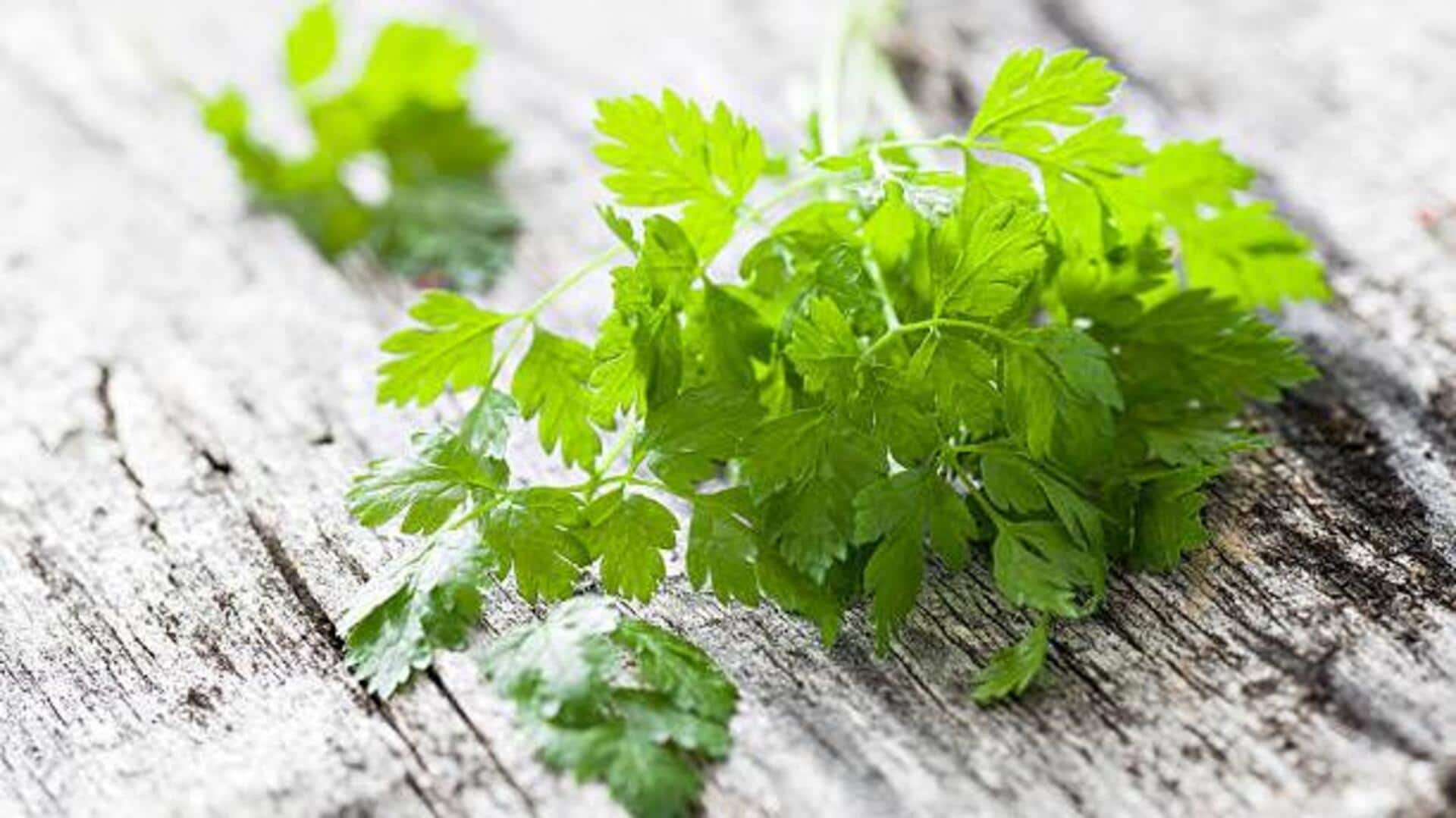 Heard of chervil? Here's how to use this herb