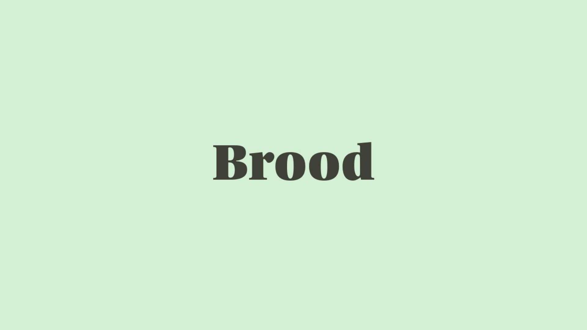 Word of the Day: Brood