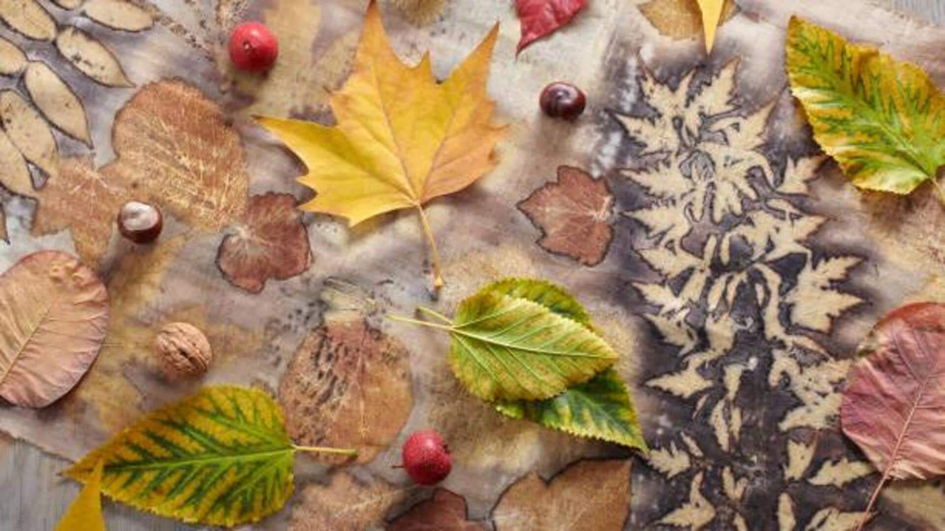 Eco-printing: All about this sustainable art form