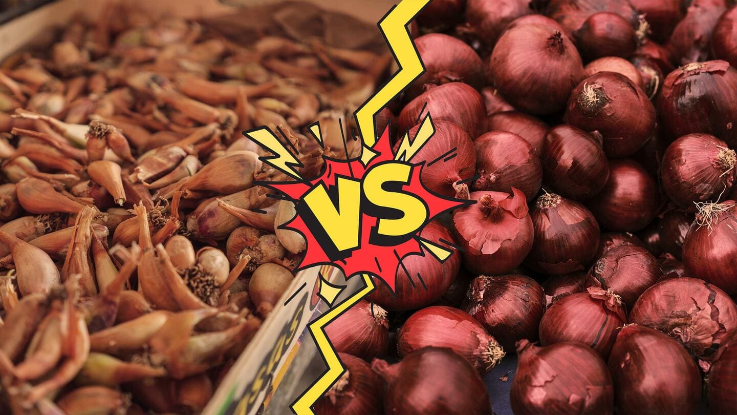 Onions vs shallot: Here's the difference