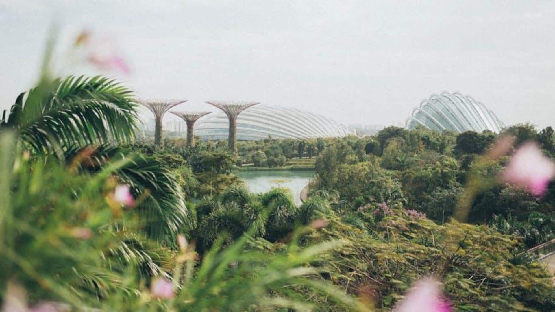 Exploring Singapore's urban wildlife amidst the cityscape