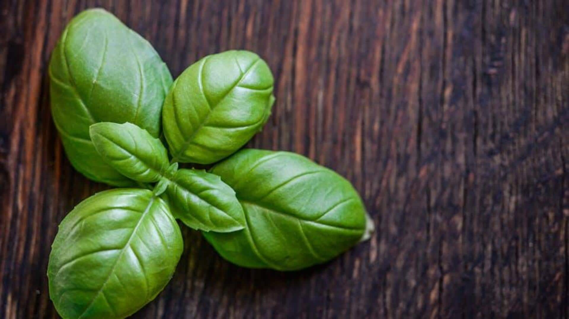 Basil leaves: A natural remedy for stress relief Basil leaves: A natural remedy for stress relief