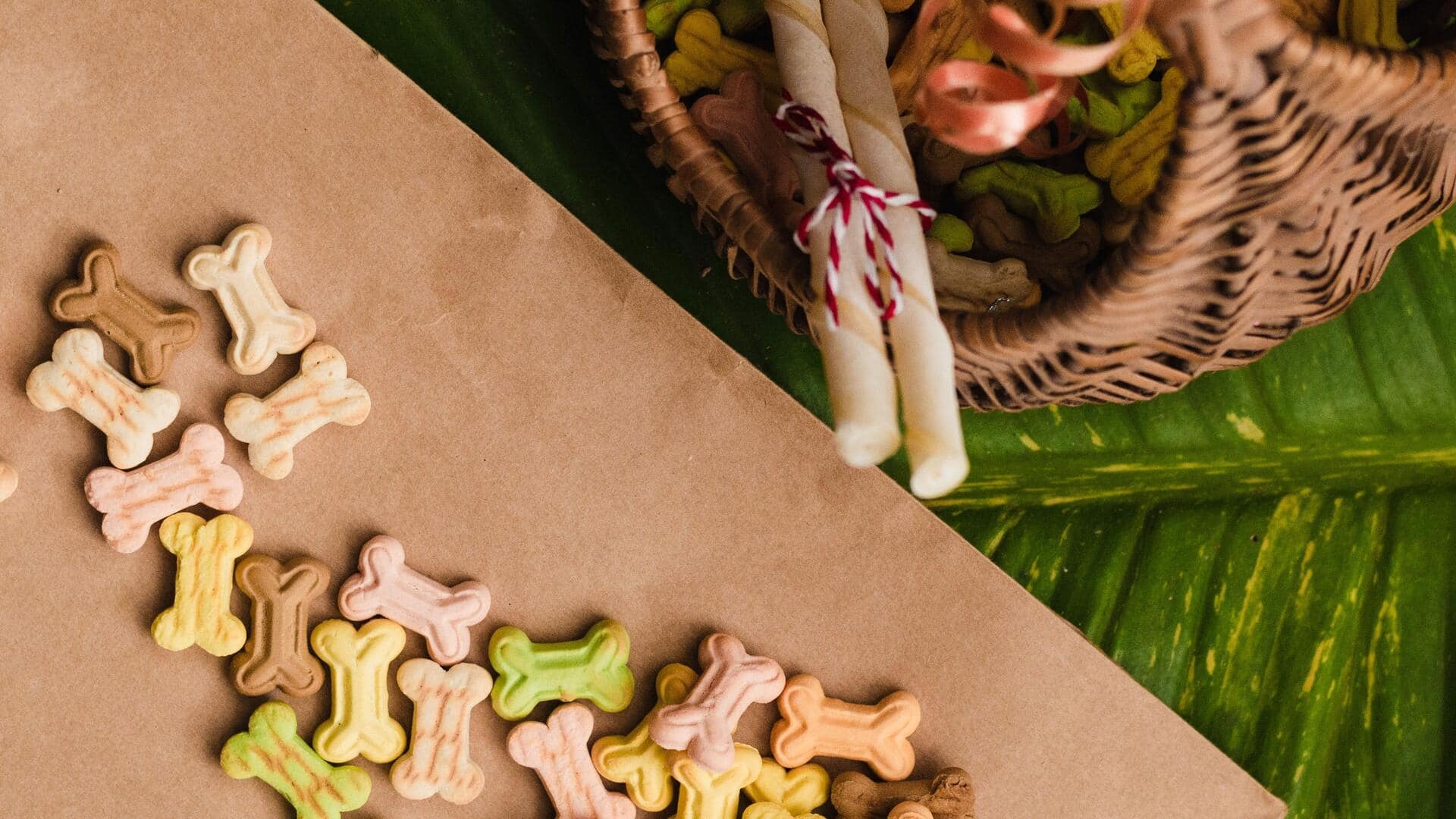How to organize dog treats in your pantry