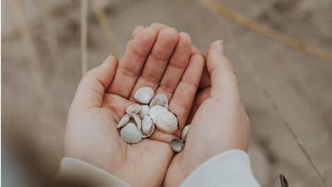 Beachcombing: A fun way to boost your health