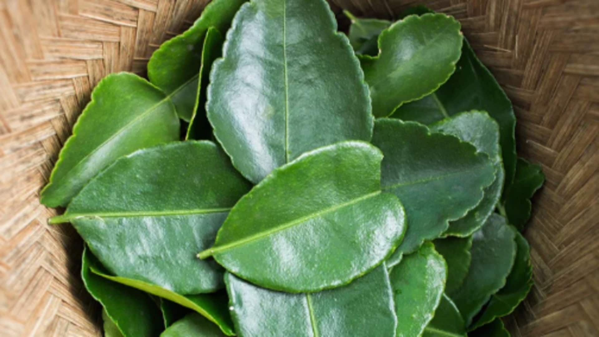 Delicious ways to use kaffir lime leaves Delicious ways to use kaffir lime leaves