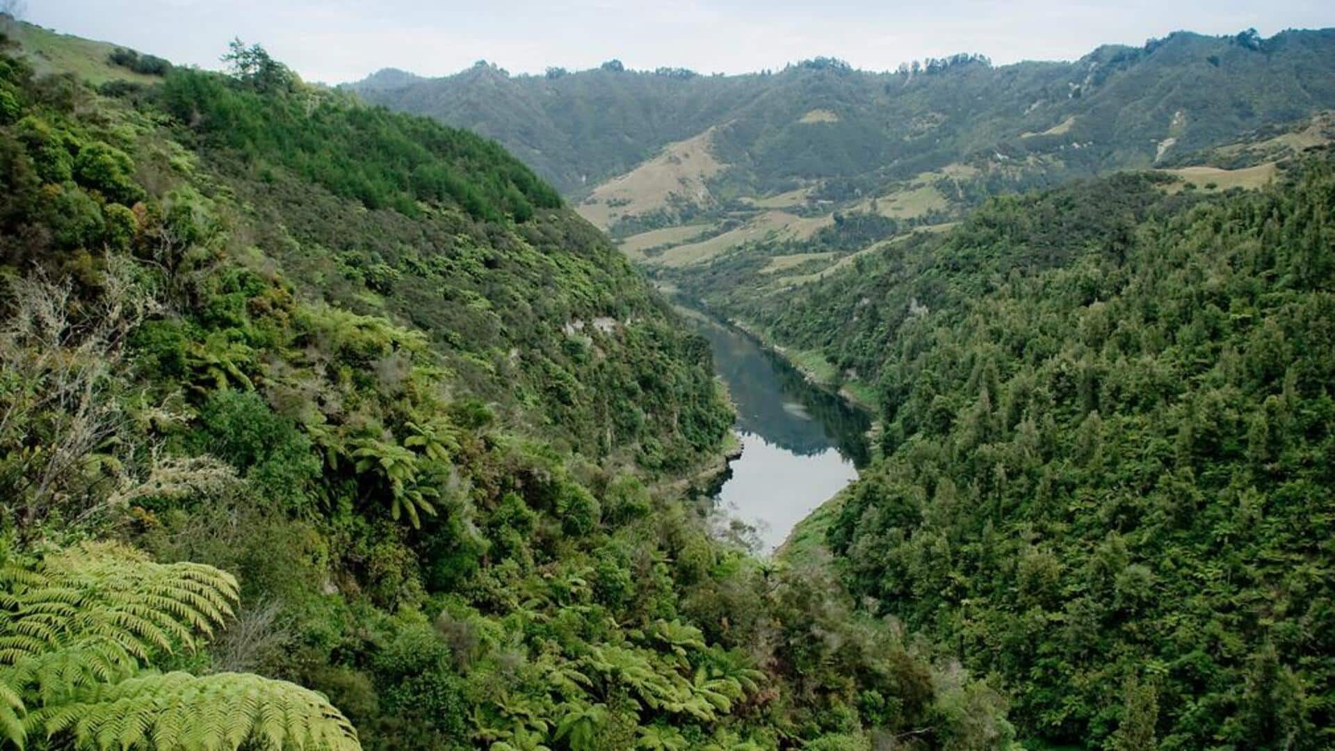 Journey along New Zealand's Wanganui River: A cultural odyssey