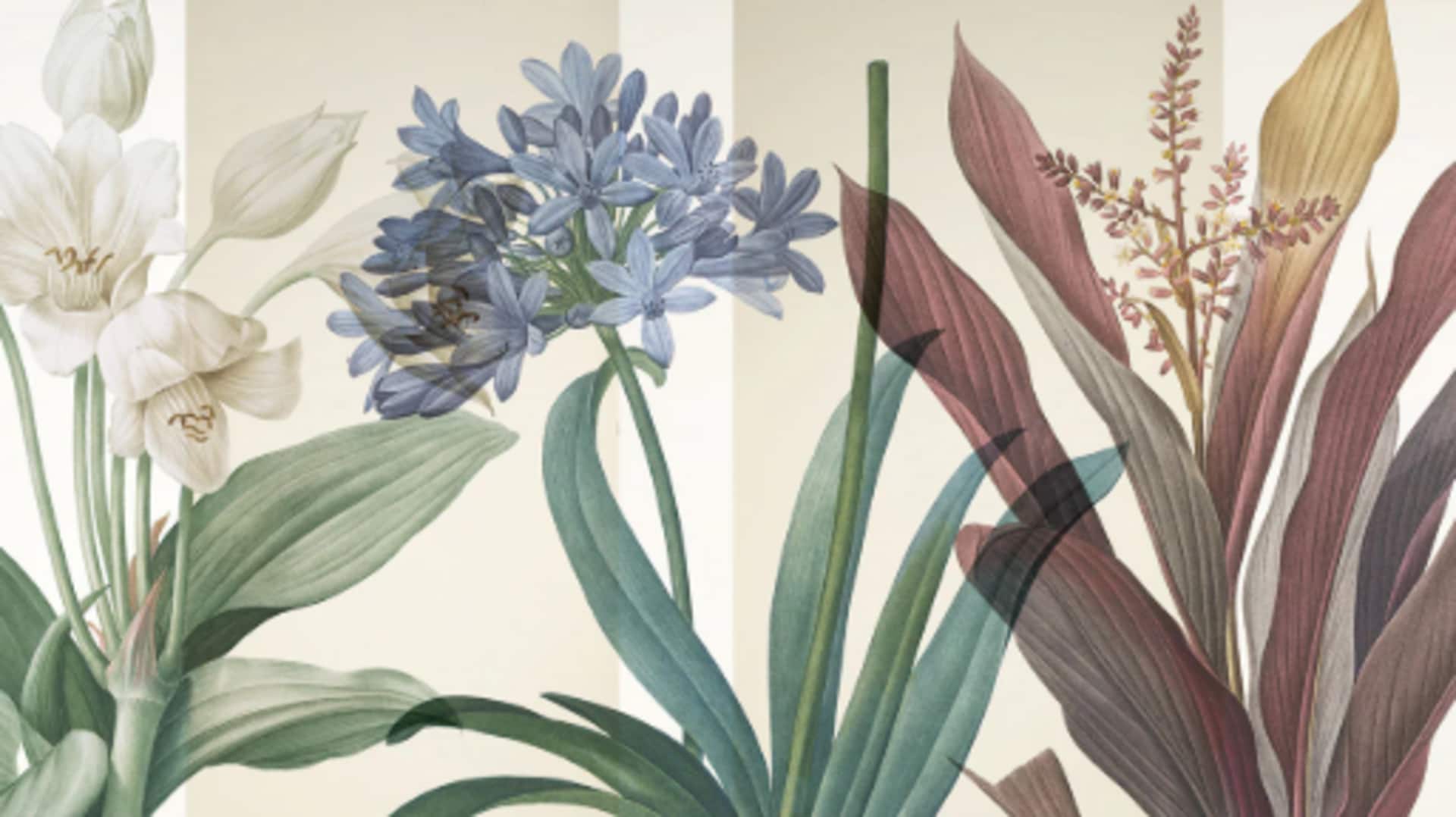 What is so special about botanical art?