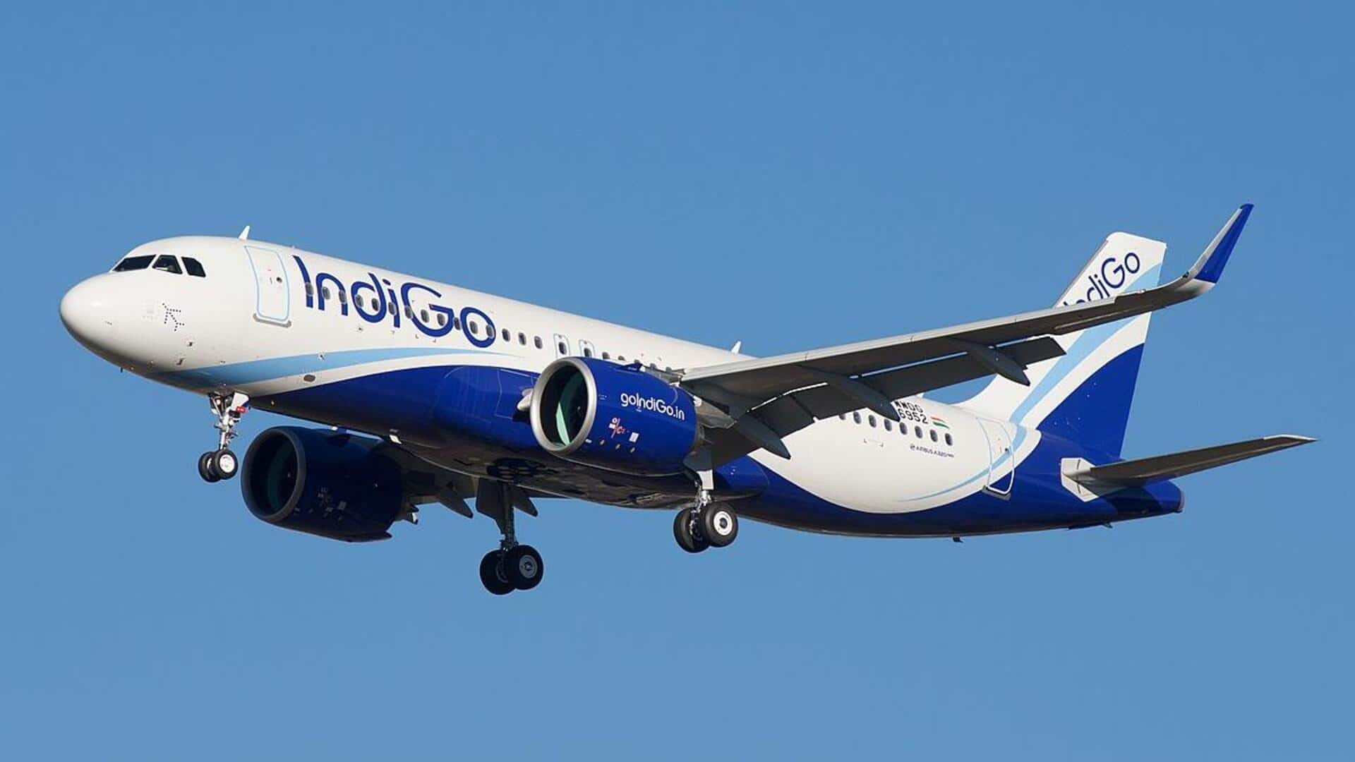 IndiGo now has a direct flight to the UK IndiGo now has a direct flight to the UK