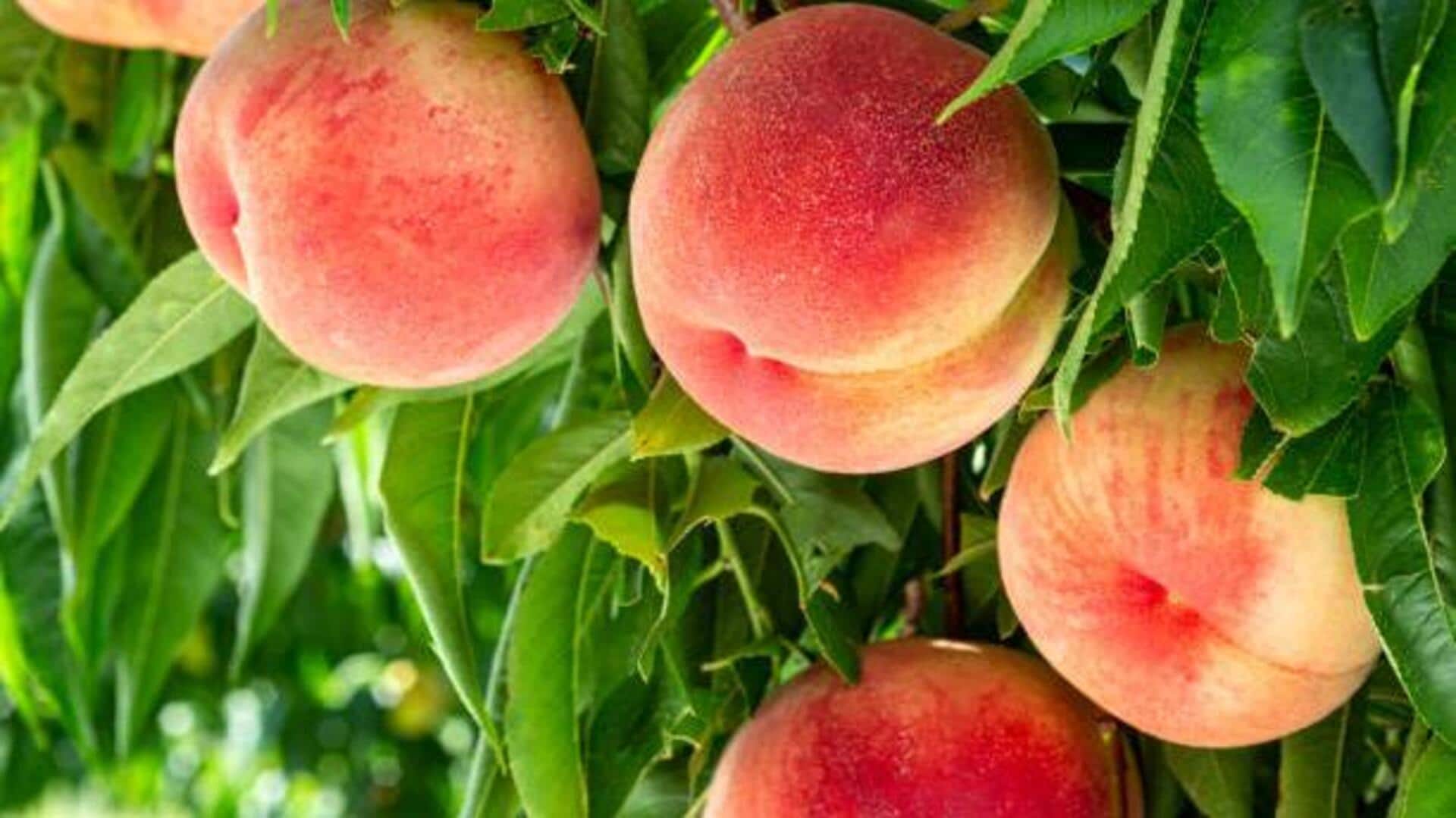 Peaches for skin: 5 benefits you must know
