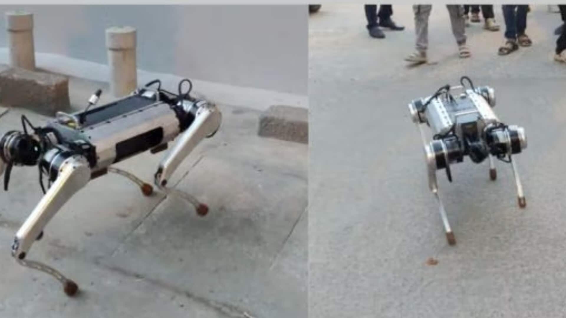 Meet 'PARAM', a robot dog locally built by Bengaluru start-up