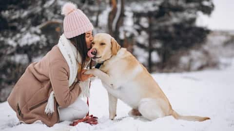 Check out these expert-backed winter grooming tips for your pet