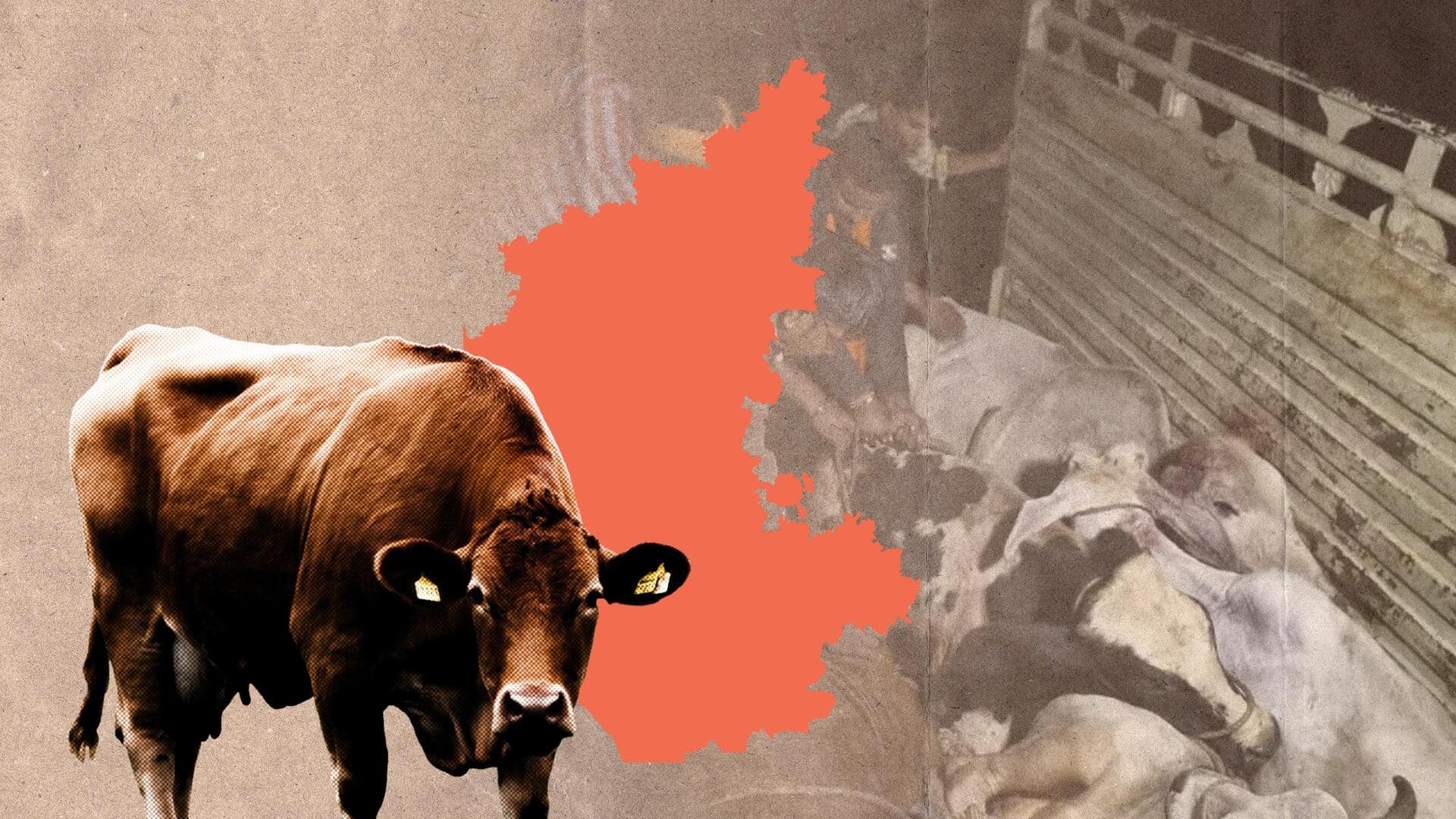 Karnataka: Congress warns against cow vigilantism, VHP cites 'Hindus' feelings'