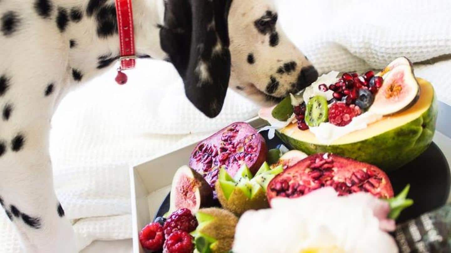 Your doggo will love having banana, frozen strawberries