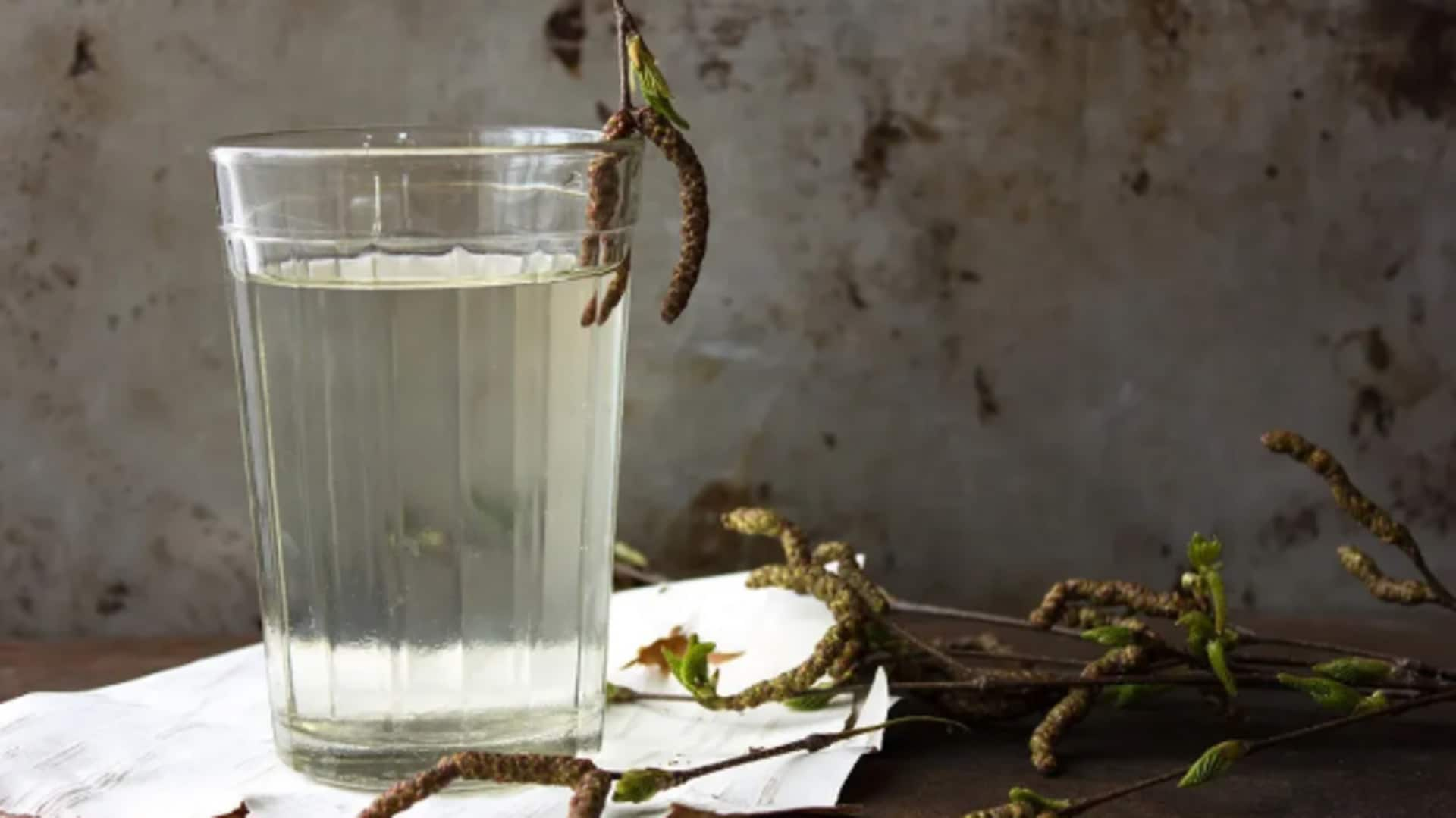 Unlocking the secrets of birch sap essence