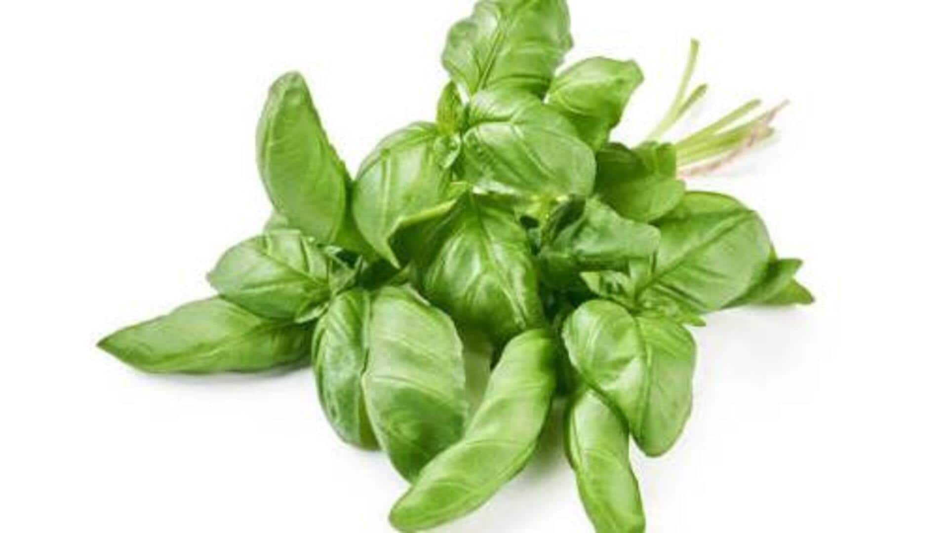How basil is used in African cuisine
