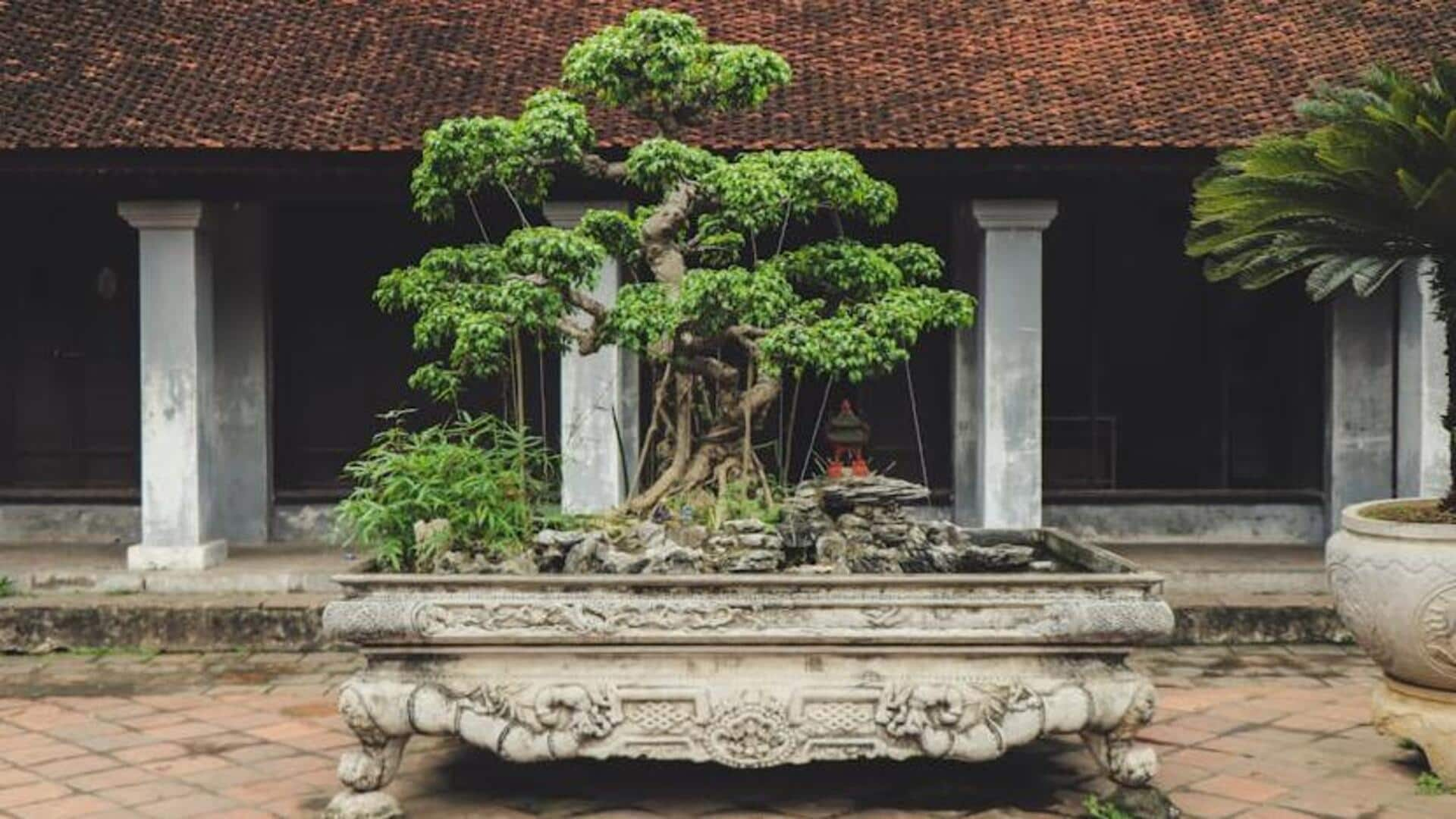 Cultivating patience through bonsai trimming