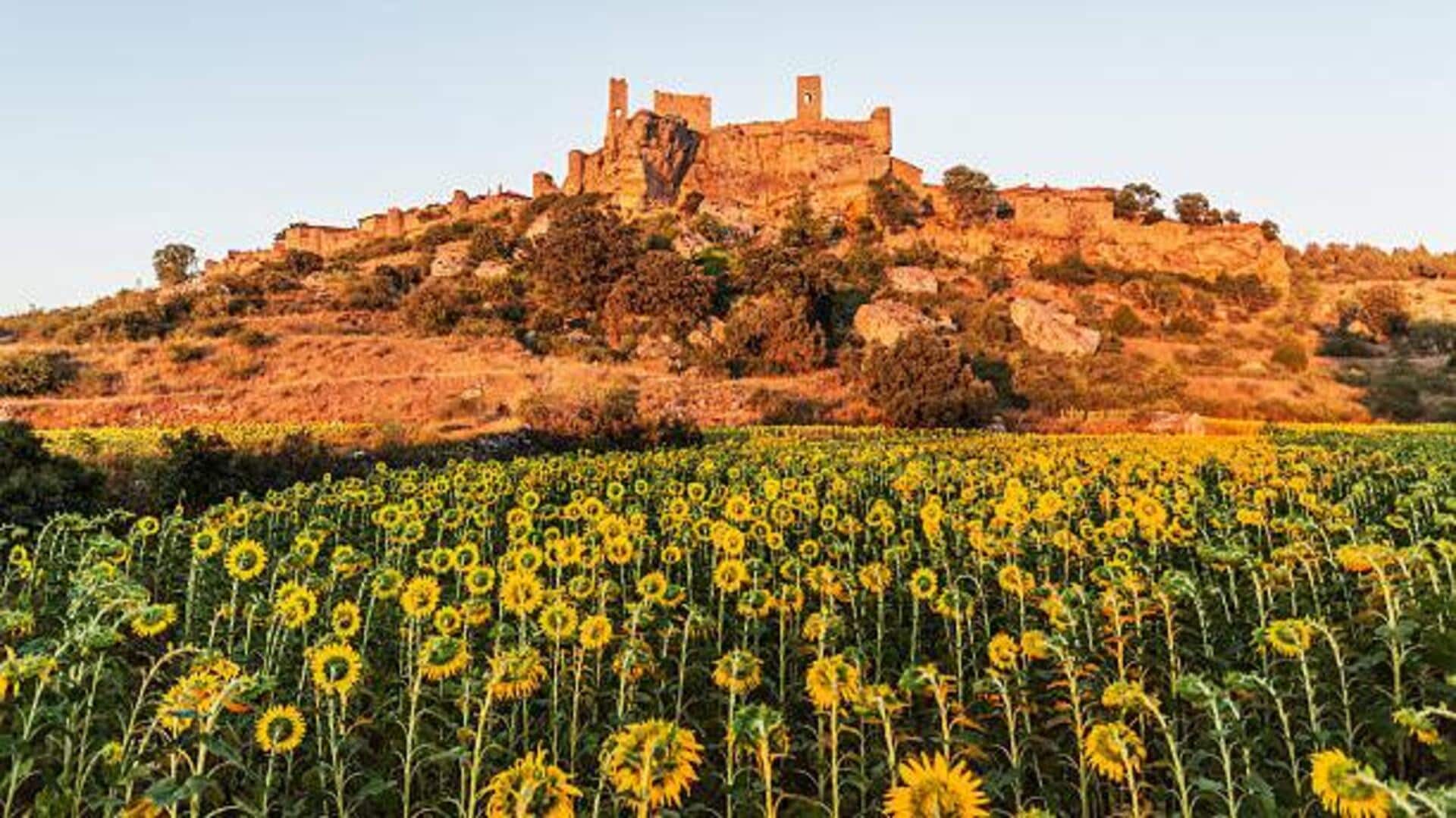 Poland's most beautiful flower villages: A list