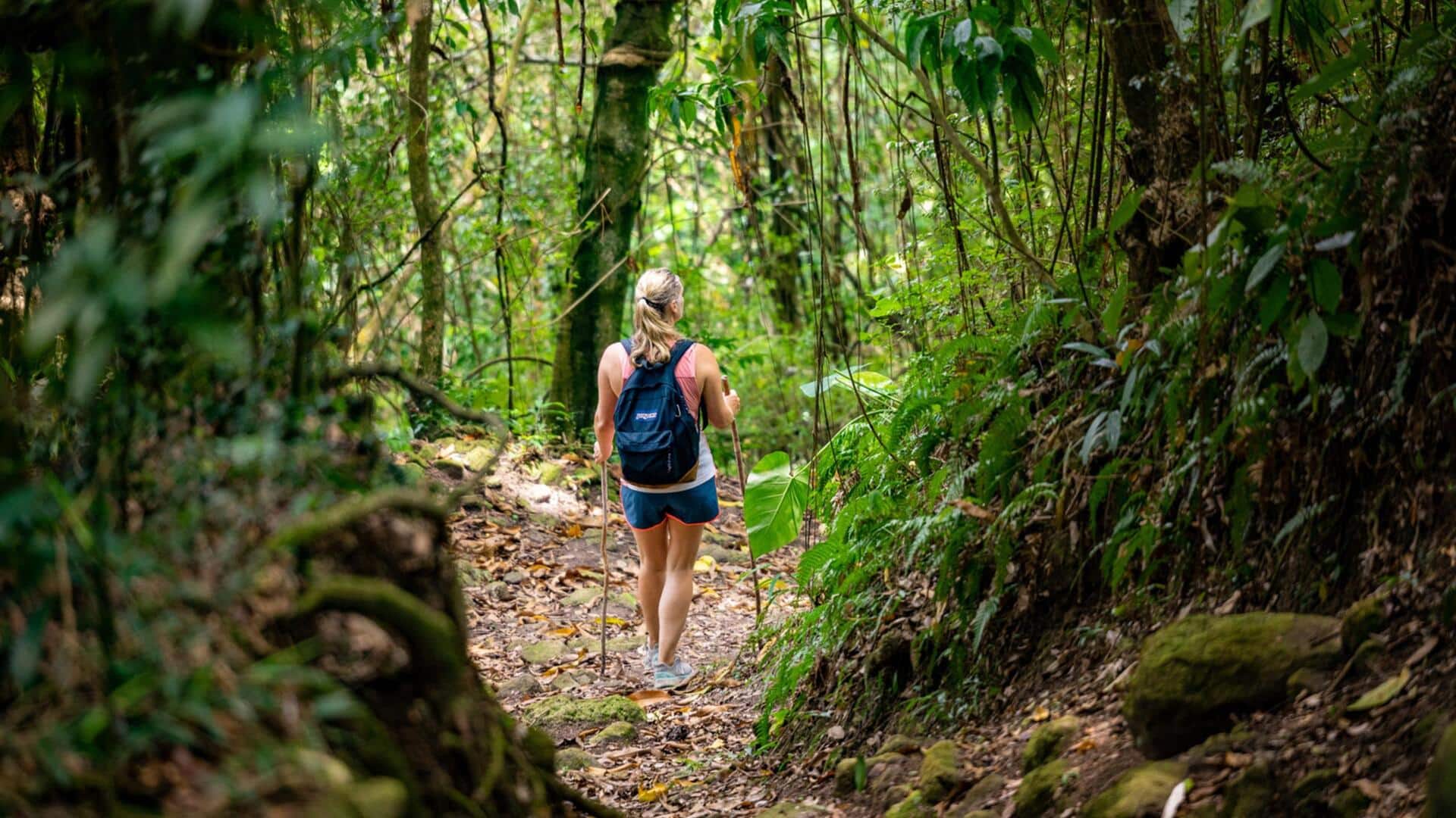 If hiking captivates you, consider visiting Barcelona