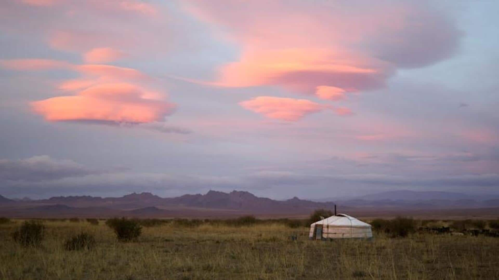 Experience Mongolia: Horseback wildlife tracking adventure