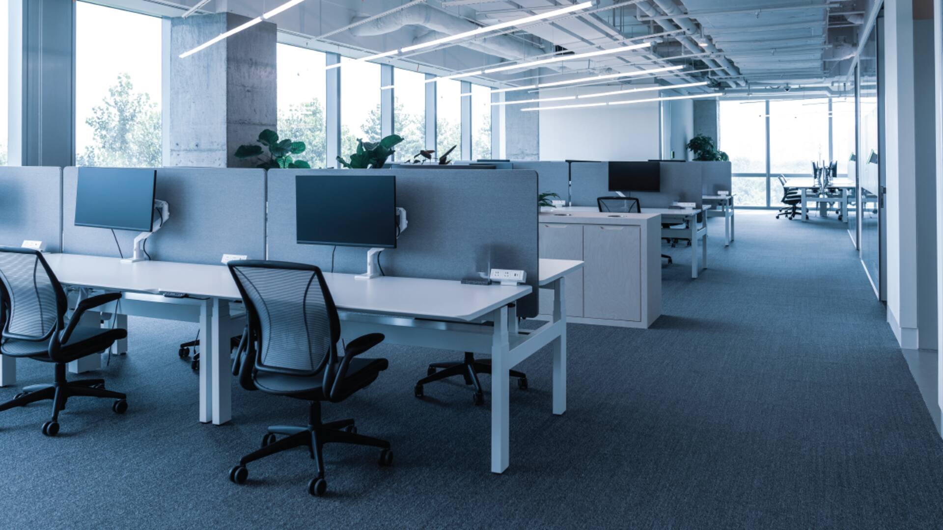 This company offers staff 30-minute masturbation breaks daily. Say what! This company offers staff 30-minute masturbation breaks daily. Say what!