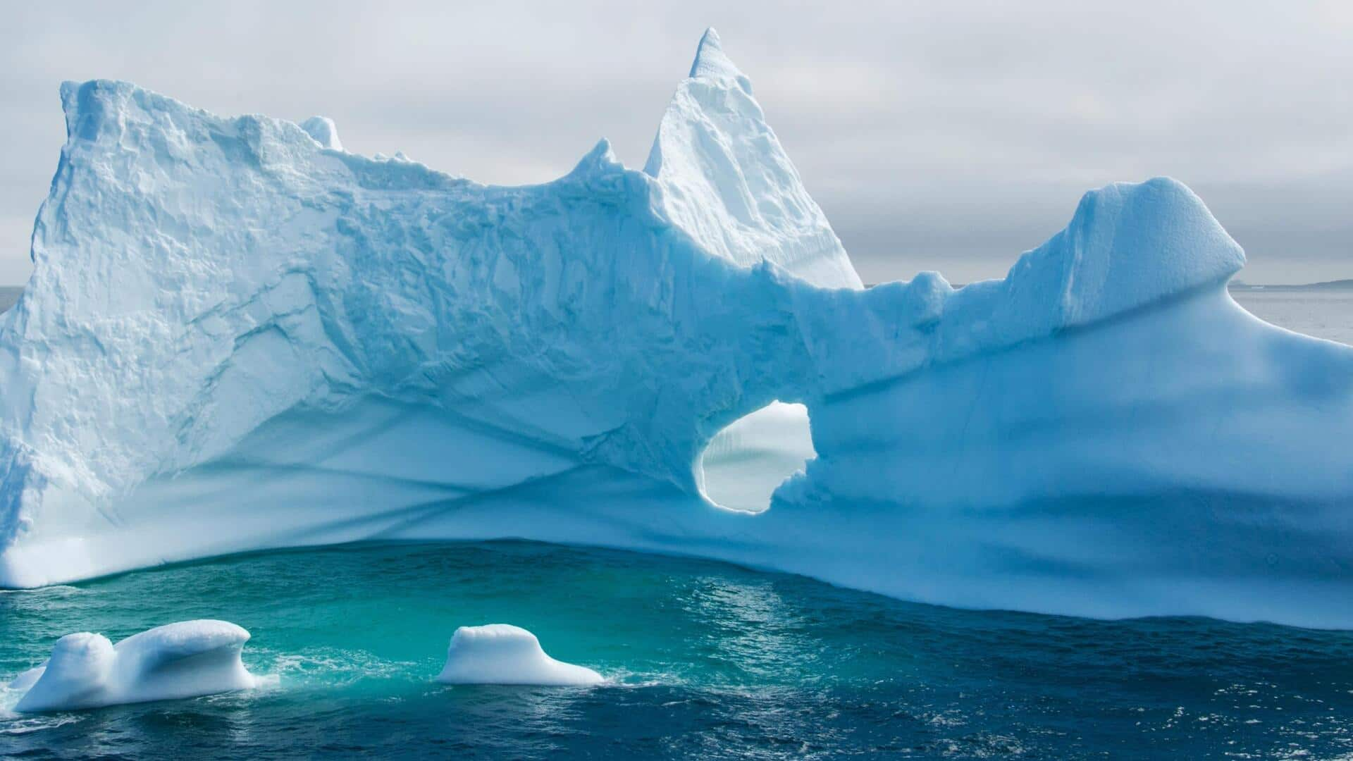 Paddle among Greenland's majestic icebergs