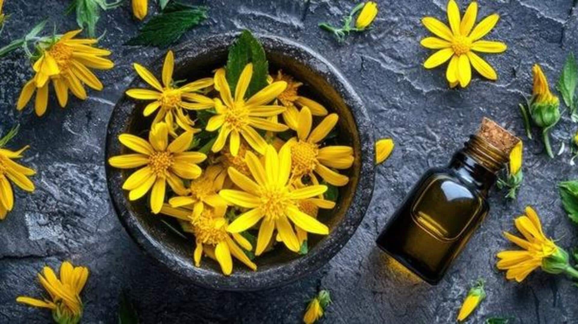 Arnica oil: Nature's solution for radiant skin