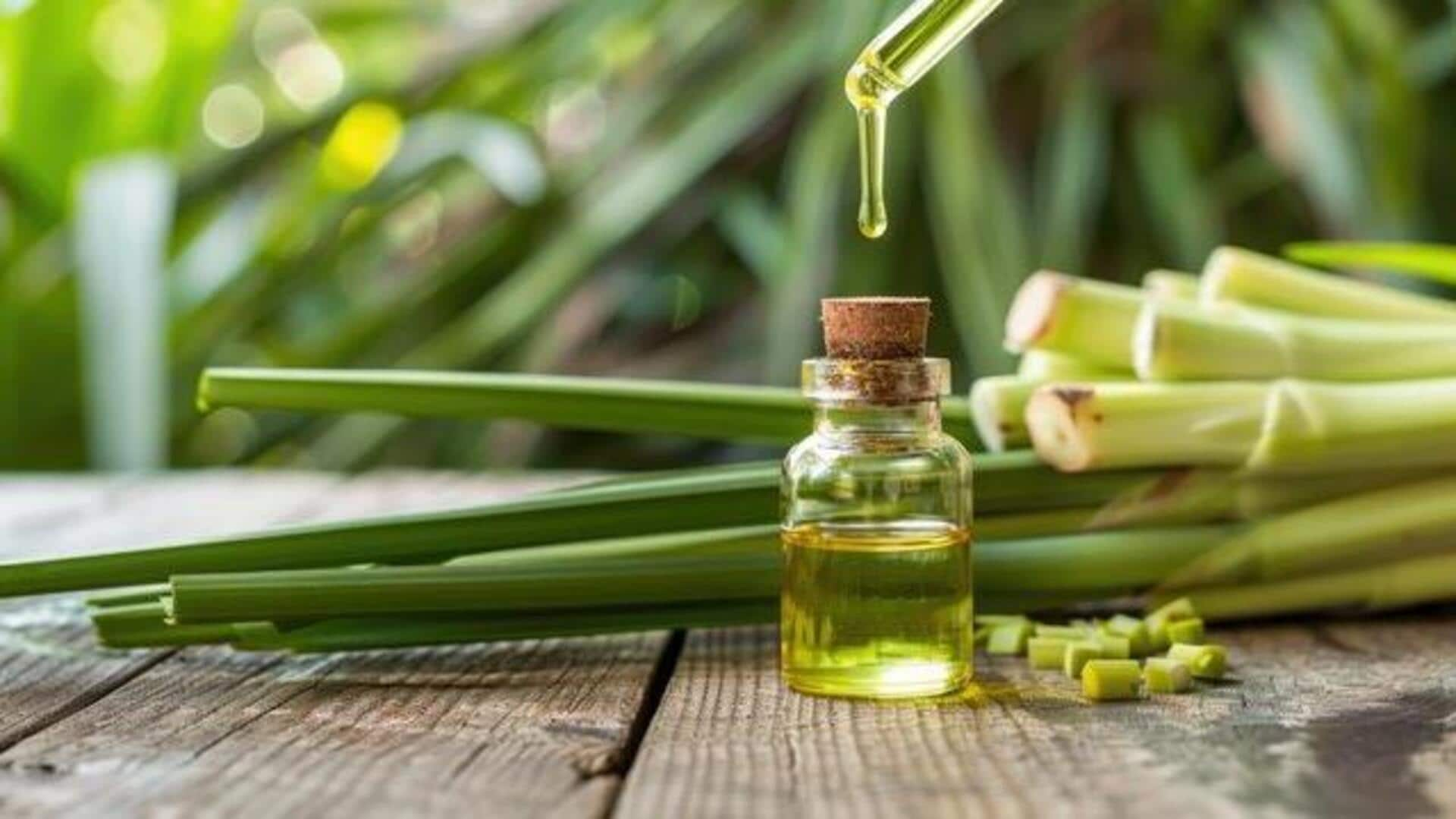 Elevating study focus with lemongrass oil