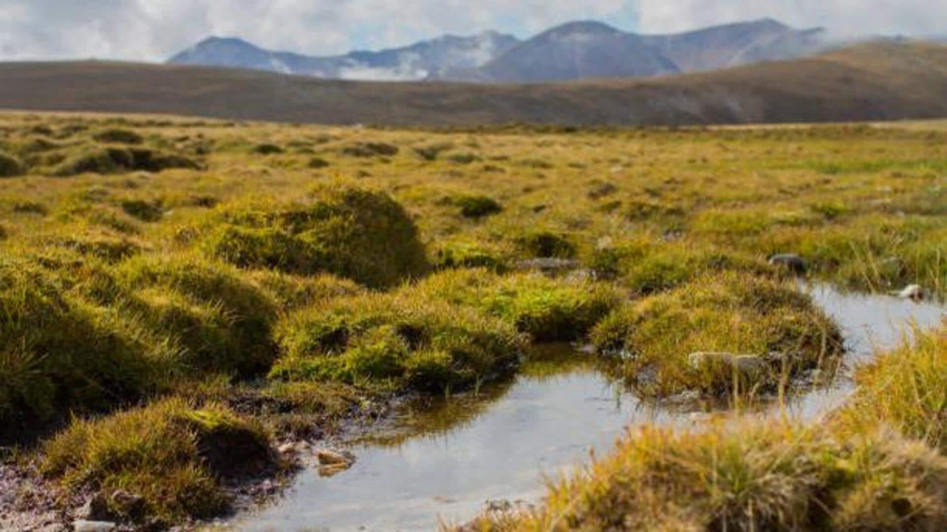 Off the beaten path: Wetlands worth exploring 