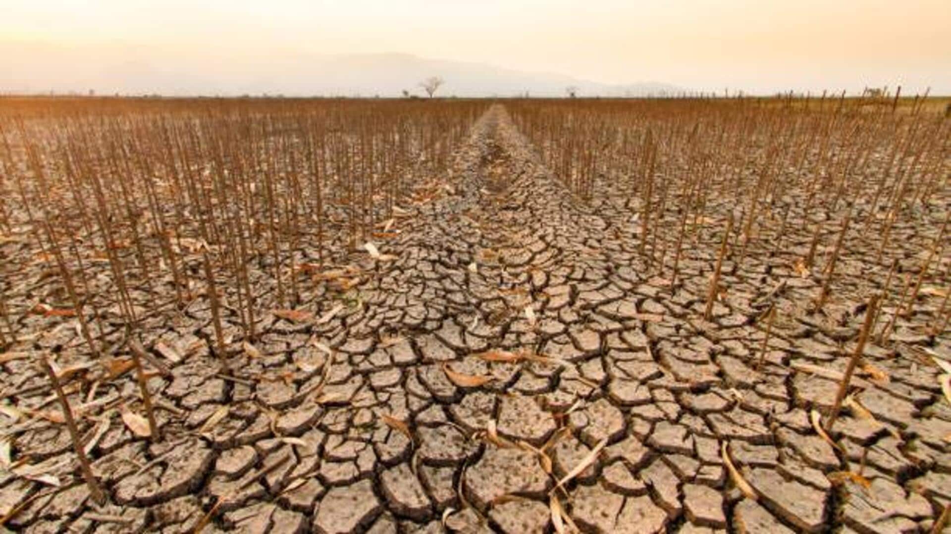 How African artists are highlighting ecological concerns 